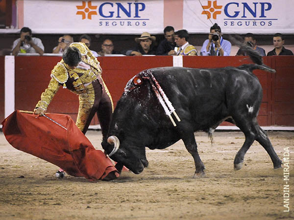 Paliabierto y basto de hechuras