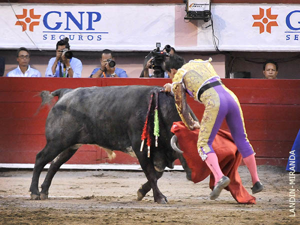 Pureza en la ejecuci�n