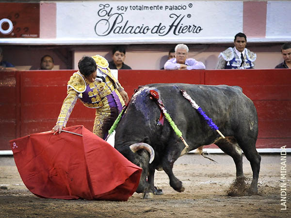 Puede hacer temblar las fibras