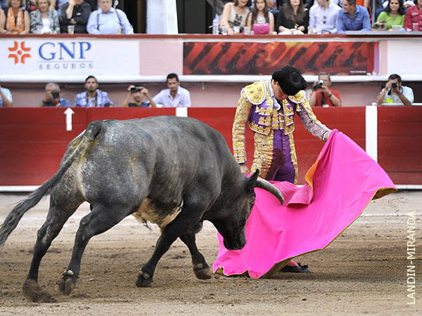 �Una lentitud pasmosa!