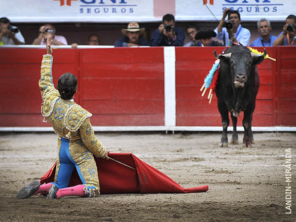 De rodillas en los medios