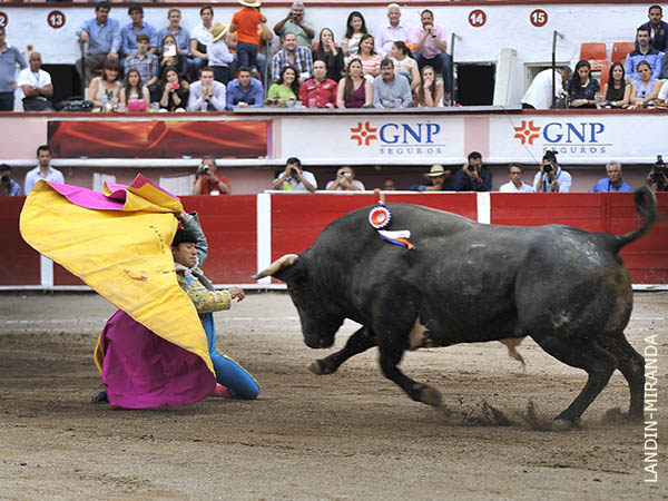 Se plant� con hombr�a en los medios