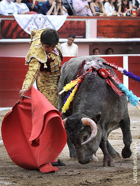 Ense�� su s�lido valor