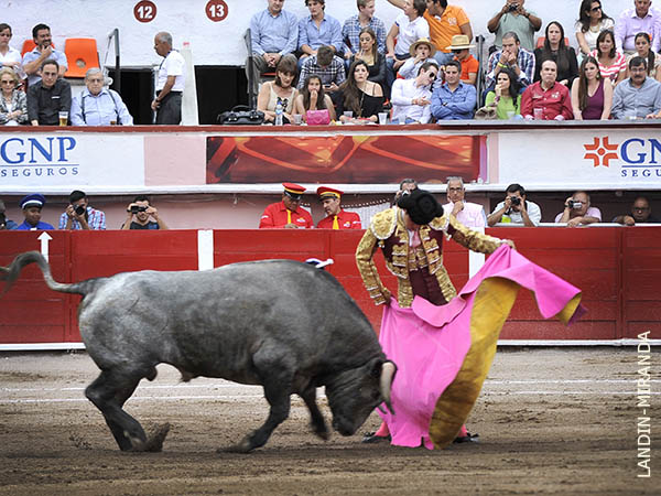 Gerardo a la ver�nica