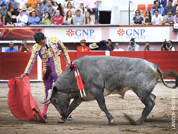 Desparpajo alucinante