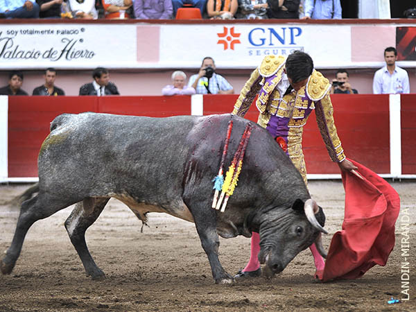 Toda el alma en los vuelos