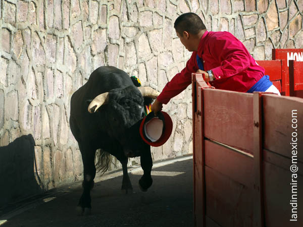 Toreando en el callej�n