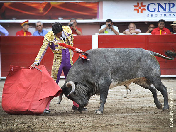 Cualidades por explotar