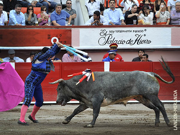 Fernando Garc�a en banderillas