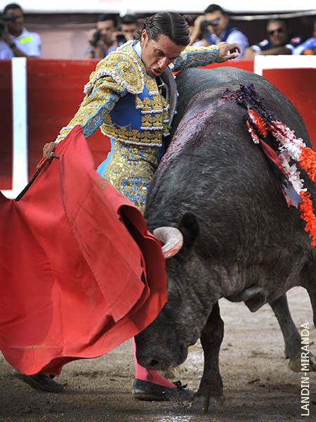 A mostrarse y triunfar