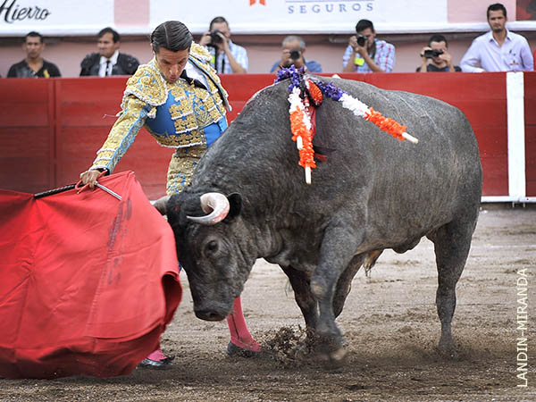 Ejemplar noble y flojo