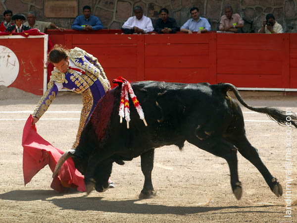 En el centro del albero