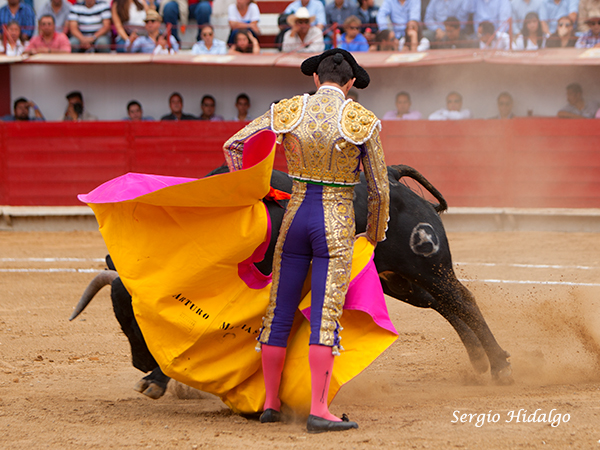 Aguantando la embestida