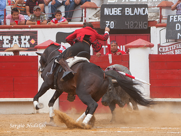 En los terrenos del toro