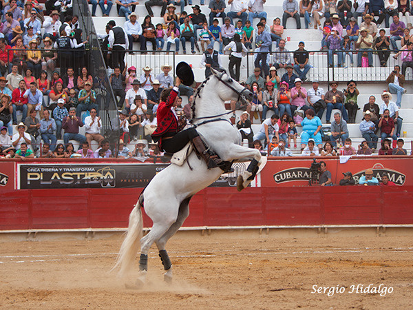 Saludando al respetable