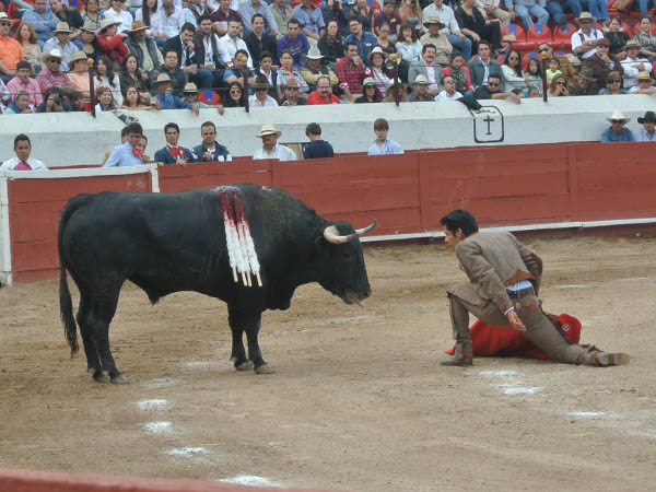 Hondo, de bonitas hechuras