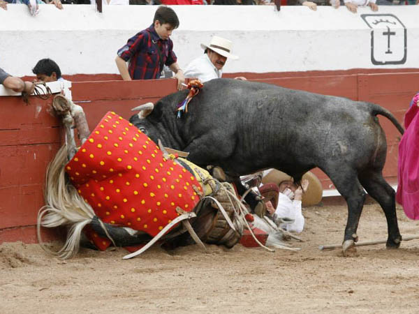 Ceb�ndose con la jaca