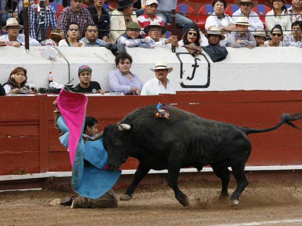 VIbrante inicio de El Zapata