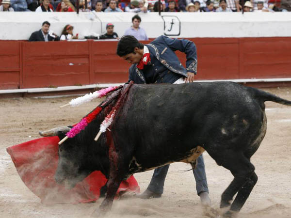 Esforzado en la faena