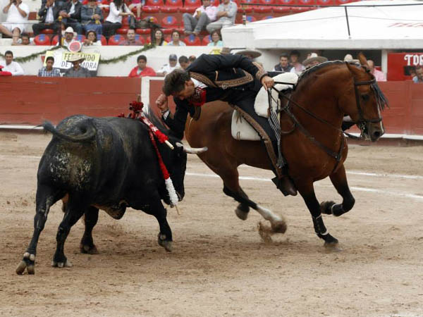 Desplante del cavaleiro