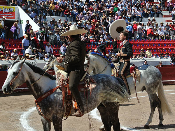 Saludo a la presidencia