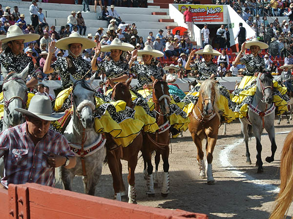 Adelitas hidalguenses