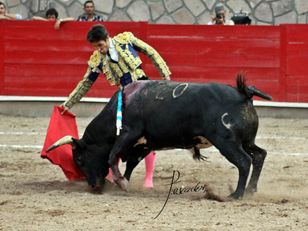 Faena inteligente y de pellizco