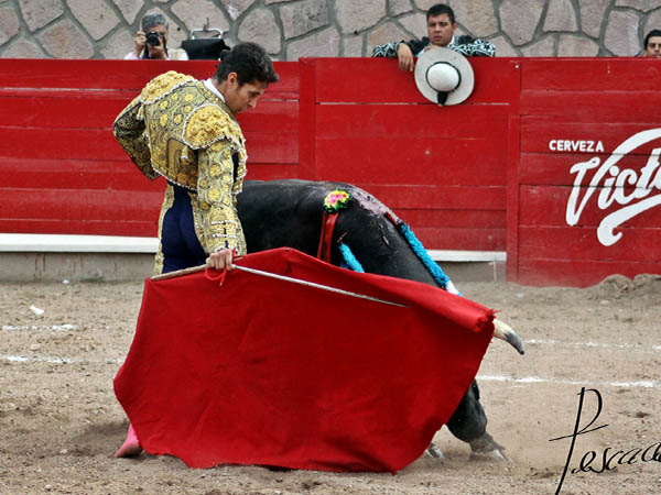 Aprovech� la calidad del toro