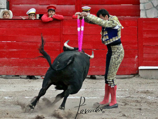 Jaleado en el segundo tercio