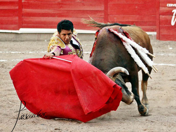 Todo entrega y valor