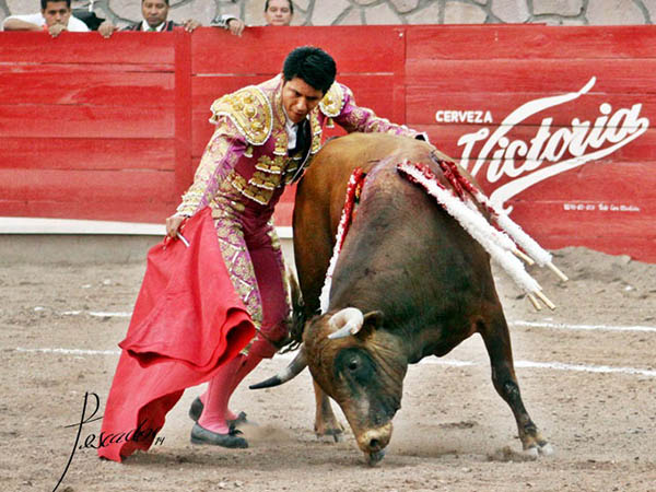 Variedad y vistosidad