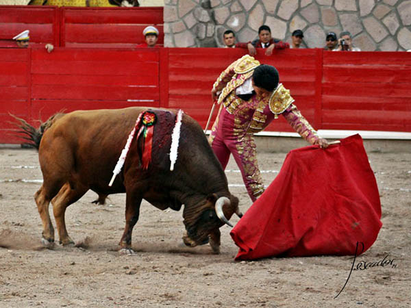 N�mero 5, de 451 kilogramos