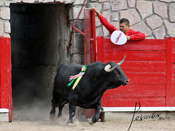 Trap�o Jos� Juli�n