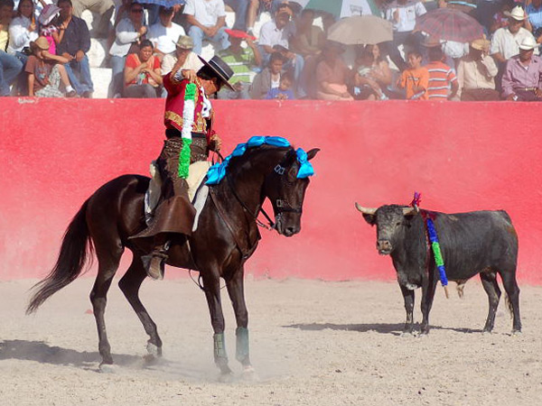 Jos� Antonio Hern�ndez Andr�s