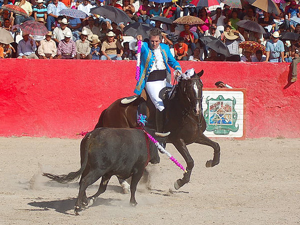 Hacia el toro, relajado