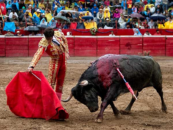 Aguantando la embestida