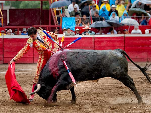 Suavidad en el trazo