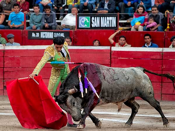 Embebido en la muleta