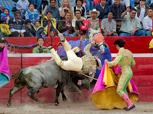 Ca�da de latiguillo