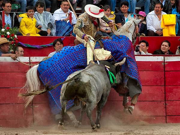 Gran pelea en el caballo