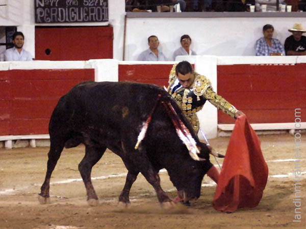 Jaleado en naturales