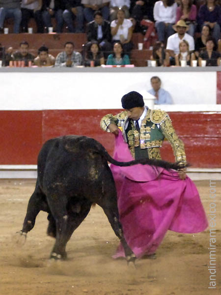 Zotoluco con el de regalo