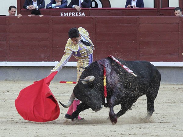 Sac� la casta en el sexto