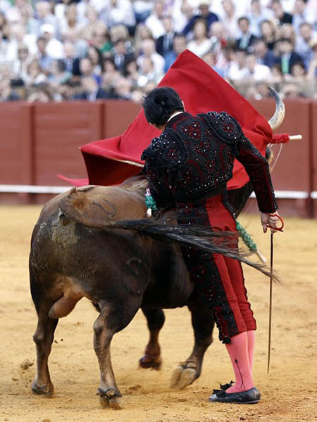 La faena tom� vuelo