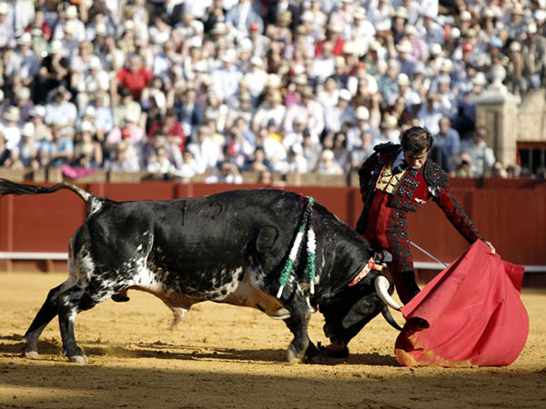 Transmisi�n por naturales