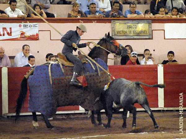 La vara del menor de los Cobos