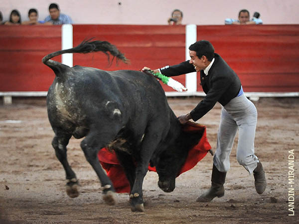 Estoconazo malague�o