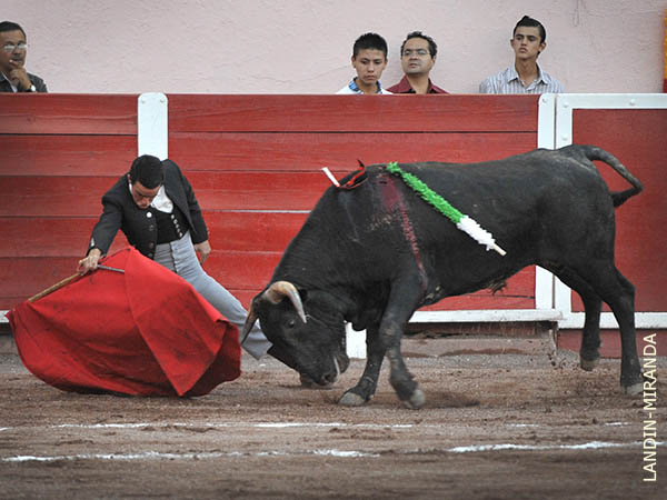 Toreros doblones del chaval