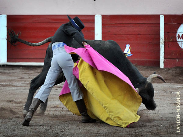 Expresivo en el percal