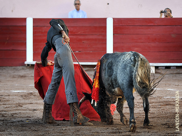 Humillado en la embestida